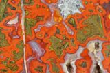 Colorful, Polished Plume Agate Slab - Morocco #114887-1